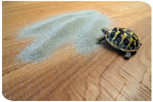 Parquet